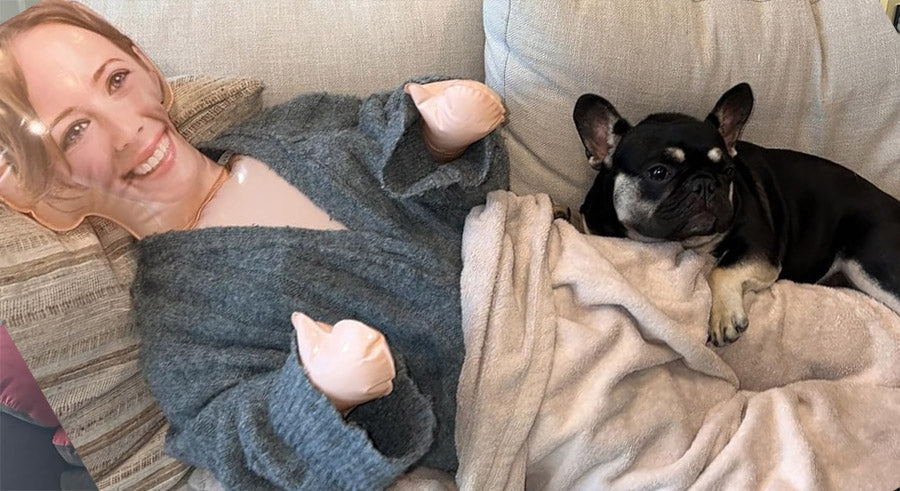 Dog resting comfortably with its head on Gerty's lap
